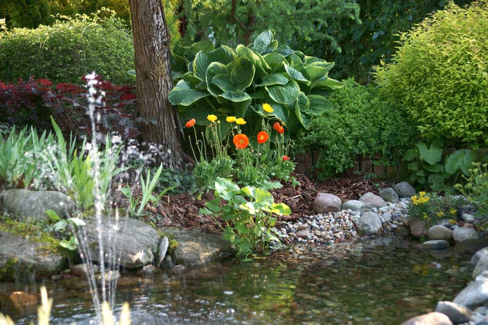 okrasné rastliny ihličnany listnaté stromy záhradné kríky